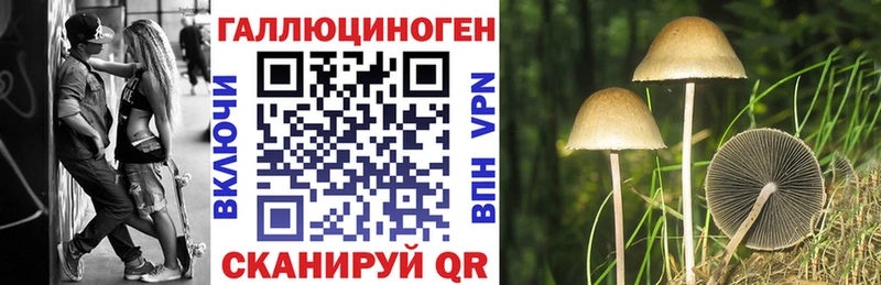 Псилоцибиновые грибы GOLDEN TEACHER  MEGA вход  даркнет официальный сайт  Нефтекамск 